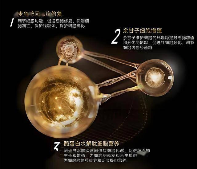 XM外汇官网2025年高测验卷中的技术元素